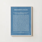 SHRI KRISHNA CHALISA PRINT